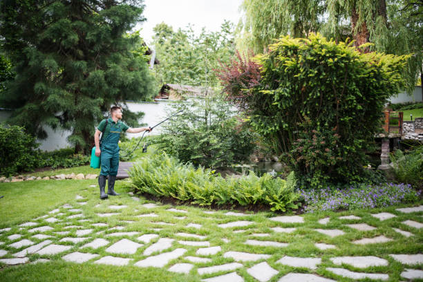 Best Lawn Mowing  in Mesquite, TX